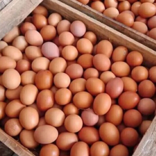 

Telur Ayam Negri / Telur ayam 1kg
