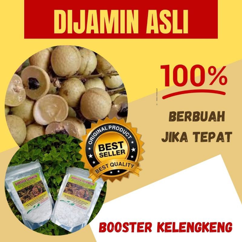 JAMIN ASLI.. Booster kelengkeng kclo3 murni