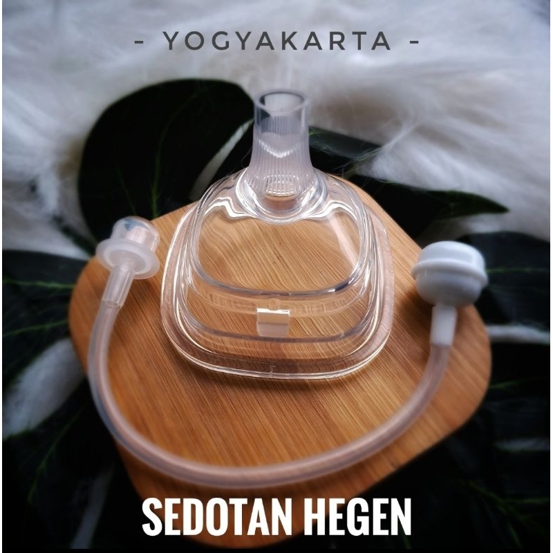 Hegen Straw Replacer / Sedotan Pengganti Dot dan Sippy Hegen