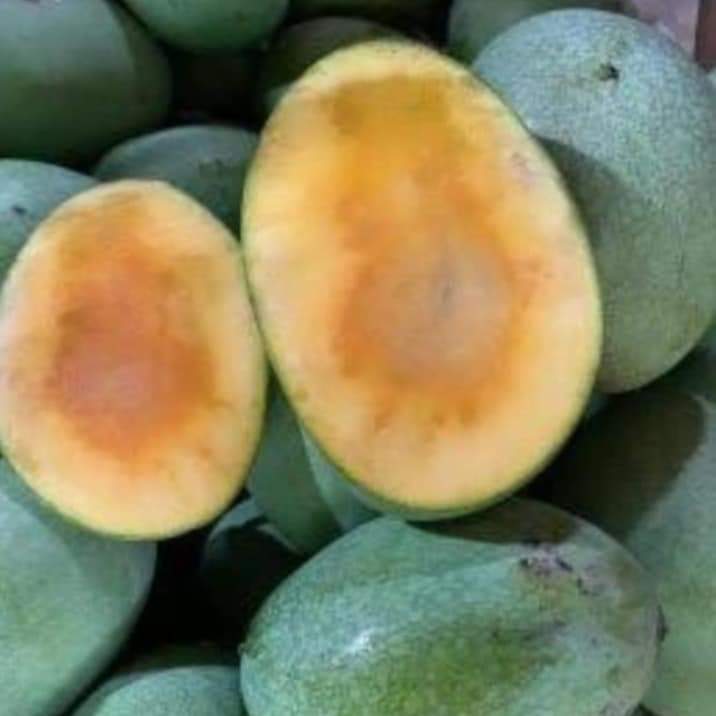 

MANGGA MADU MANALAGI 1KG isi 2-3-4-5 bisa request