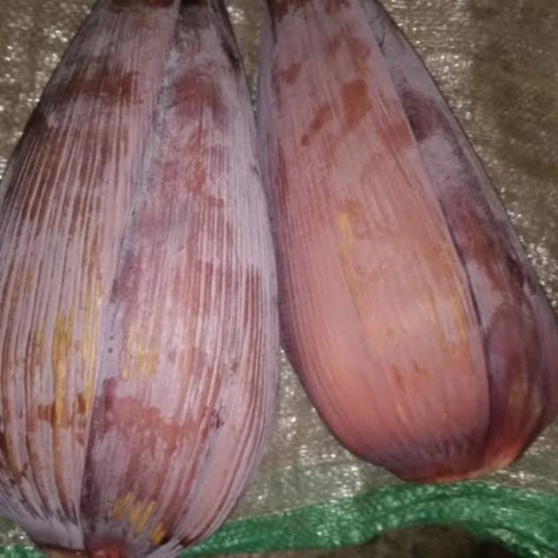 

JUAL Jantung pisang sayur / sayur jantung pisang cocok untuk Gudeg/santan