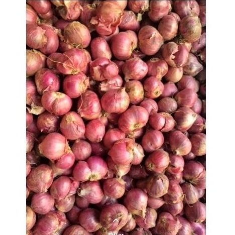 

Bawang Merah Besar 1 kg