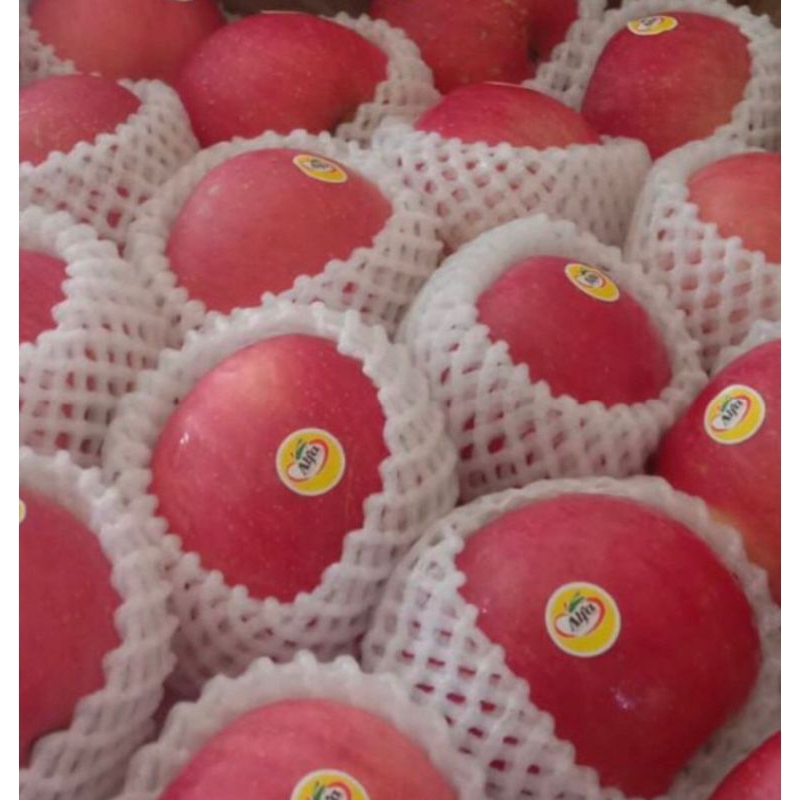 

Apel Alfa | Apel Fuji bandung