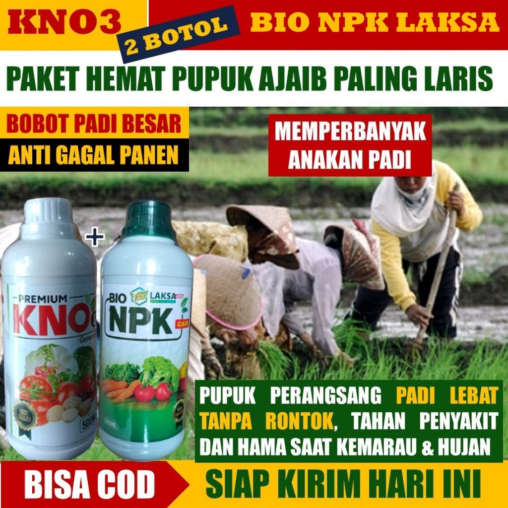 [PUPUK TERBAIK] 1 KNO3 PREMIUM & 1 NPK LAKSA Grow Pupuk Pelebat dan Perekat Anakan Padi Lebih Banyak