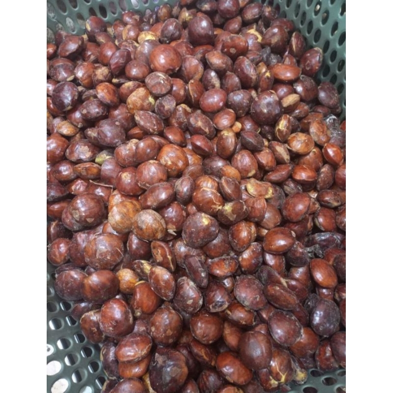 

jengkol fresh