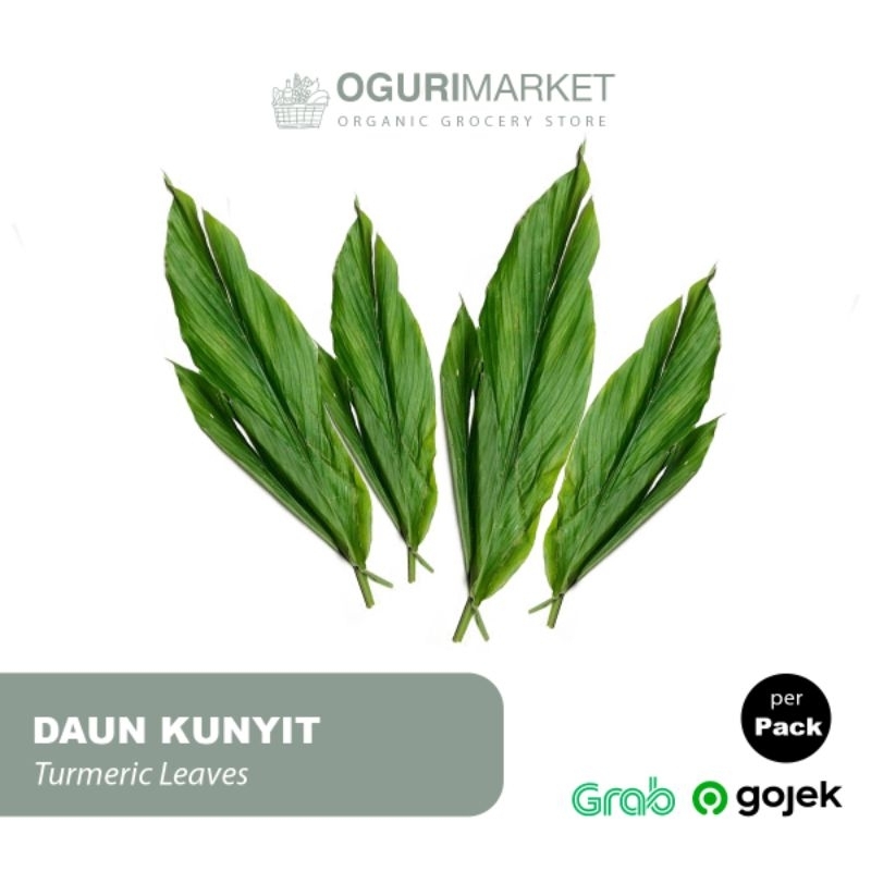 

Daun Kunyit Turmeric Leaves per ikat 200gr - 250gr