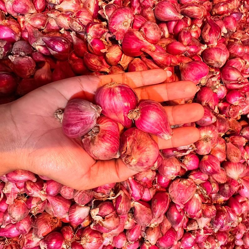 

Anakbawang75 Bawang Merah Brebes Campur Sedang Kecil 500gr Kering