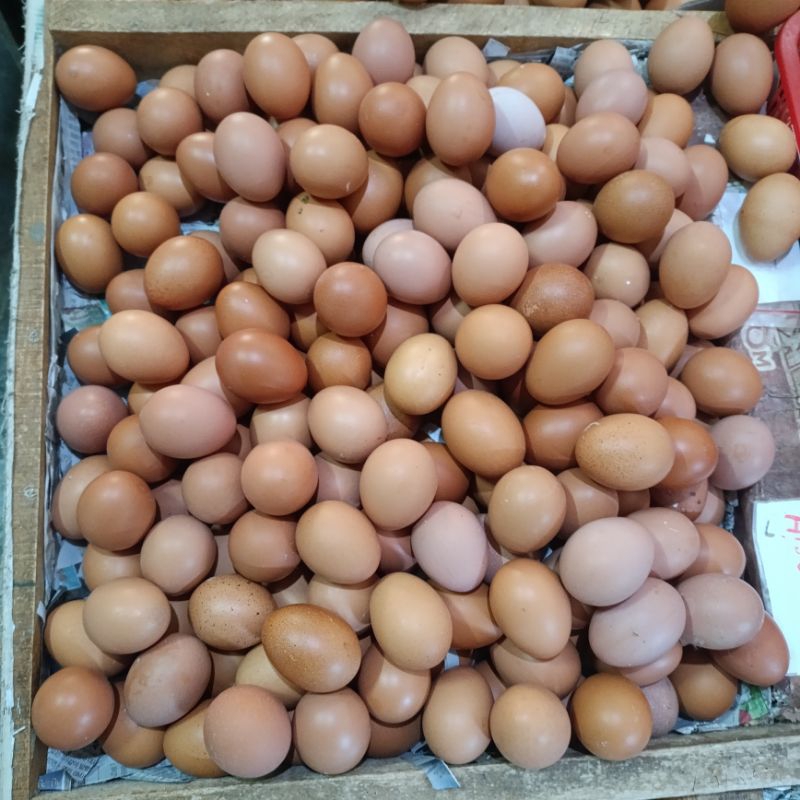 

Telur Negeri 1 Kg - area Bandung