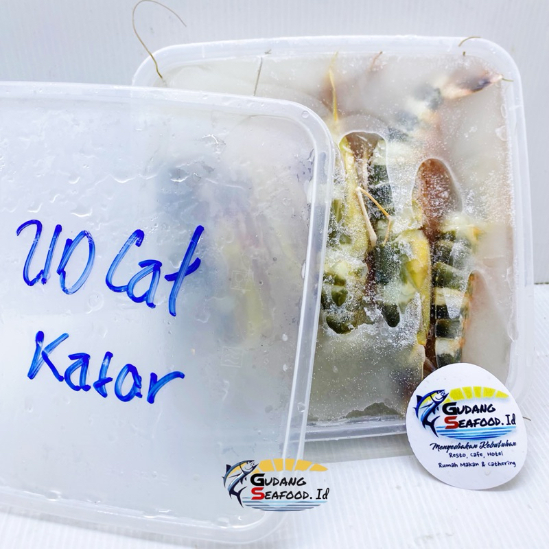

Udang Cat Kasar 500 gram