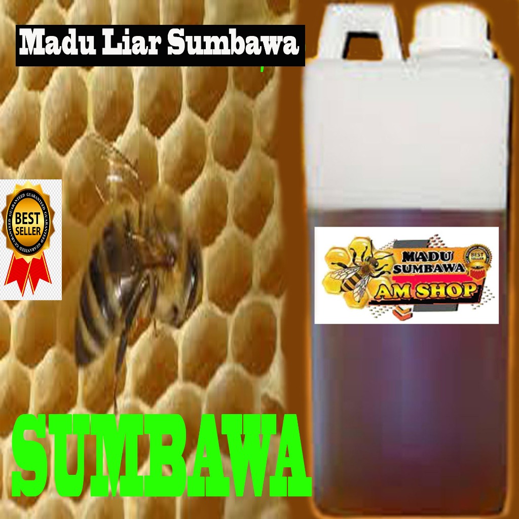 

Madu Liar Hutan Sumbawa Murni Asli 1kg