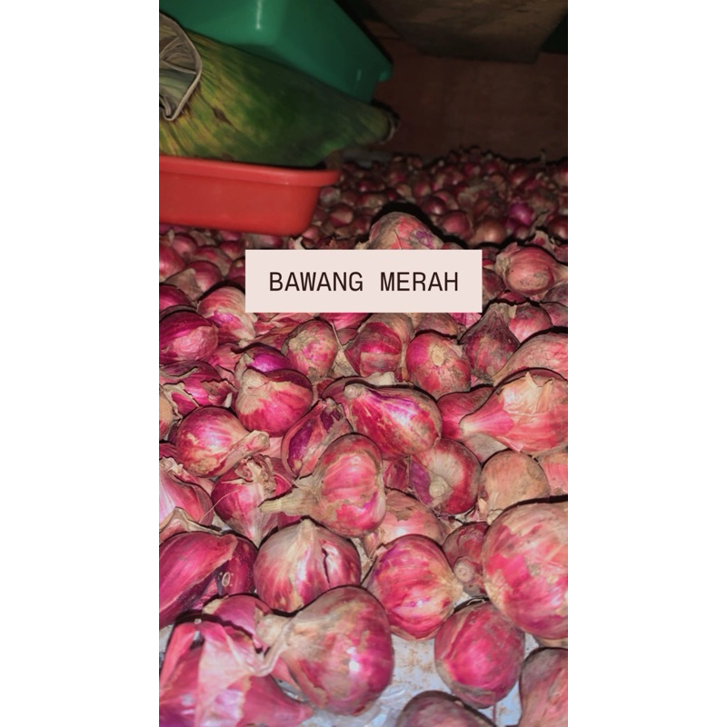 

Bawang Merah Kecil Super 1kg