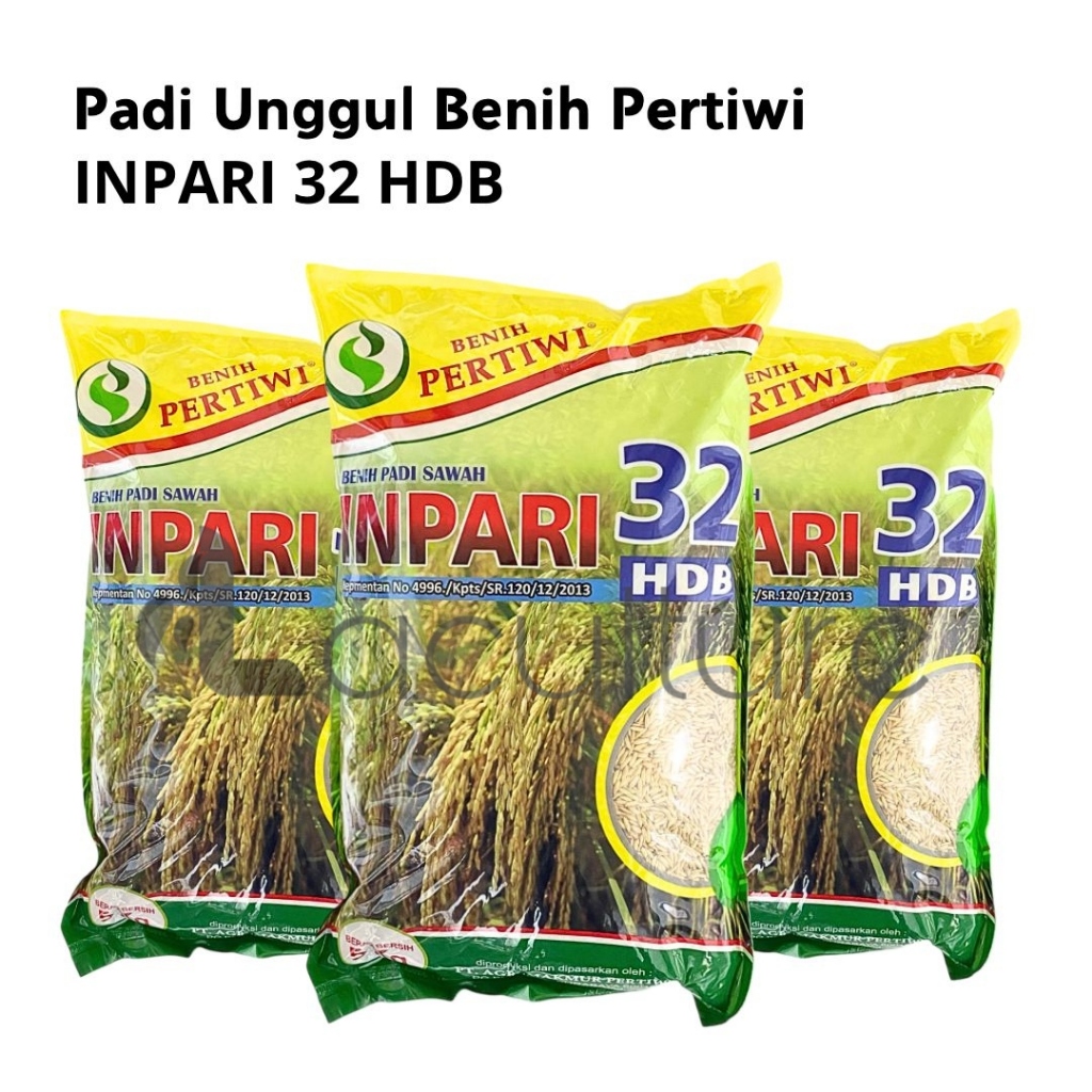 Benih Padi Sawah Unggul INPARI 32 HDB 5 Kg Benih Pertiwi
