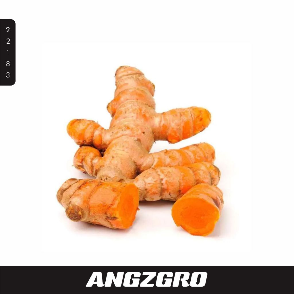 

Kunyit 250 Gr/ Pack