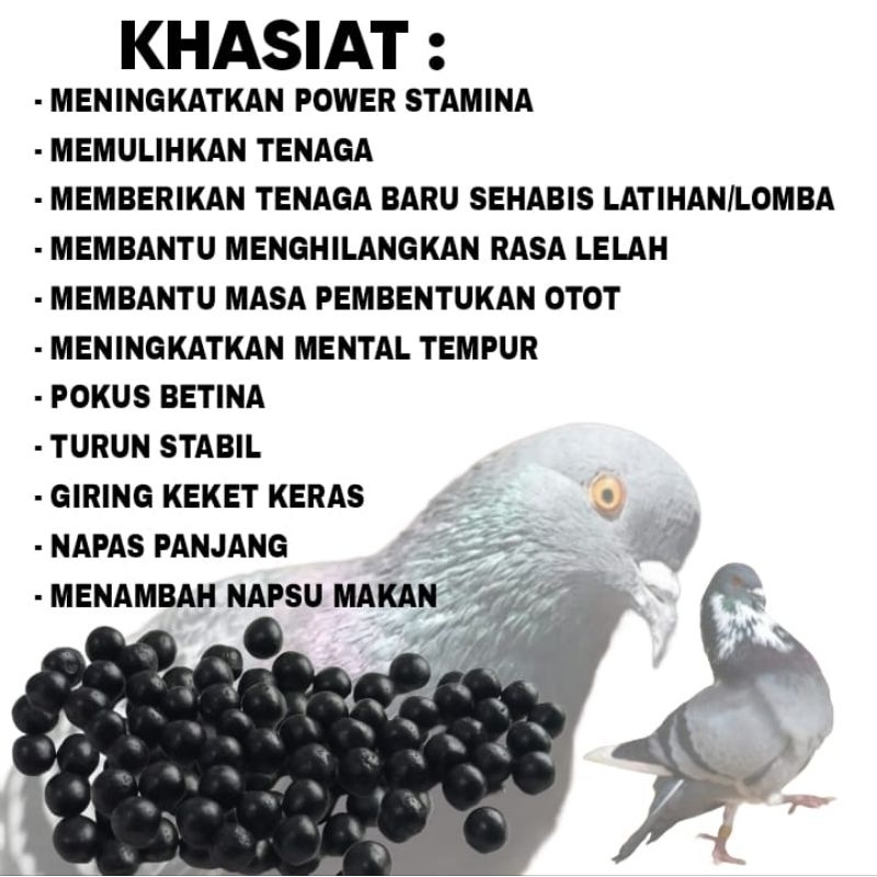 Giltbite_  Los Door Pool Isi 300 Pil Jamu Merpati Kolong Dan Balap Pil Extra Gingseng Teki Raja