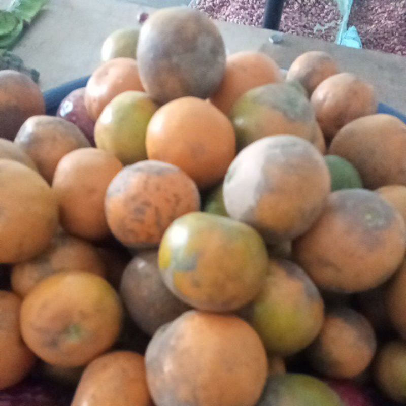 

jeruk siem madu manis 1kg