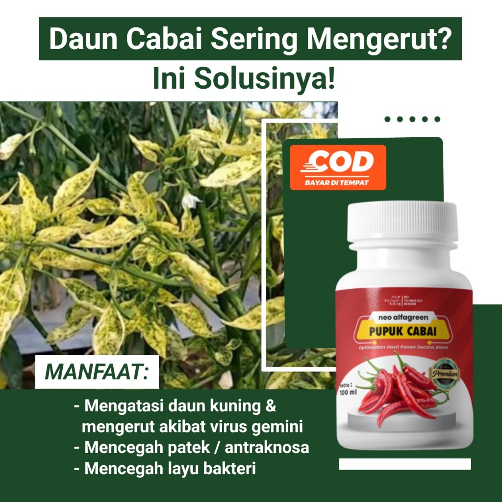 Pupuk Cair  Nutrisi Cabe Perangsang Cepat Pupuk Cabe Berbuah Lebat Anti Keriting Organik Cair