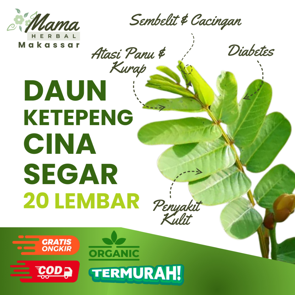 

Daun Ketepeng Cina Segar 20 Lembar Obat Panu Herbal Penyakit Kulit Kurap Gatal Ampuh COD Makassar