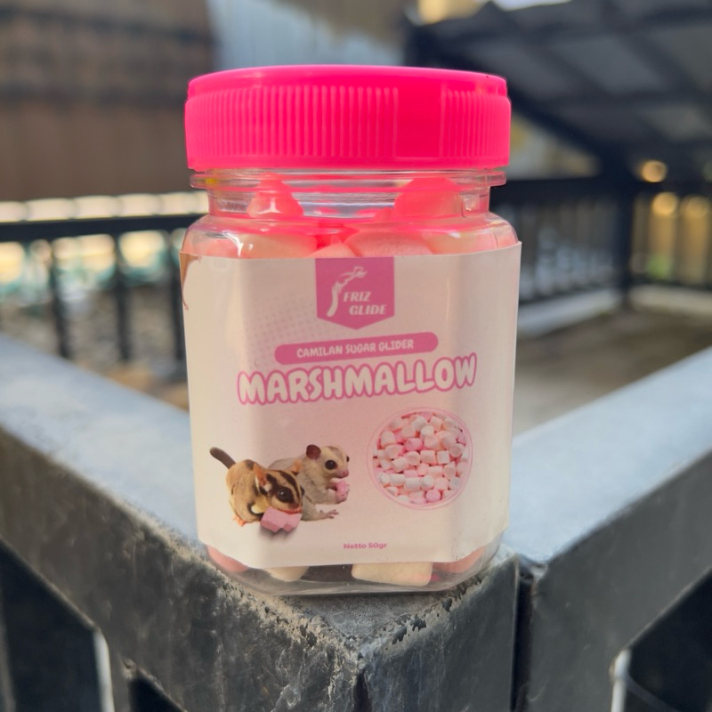 MARSHMALLOW SUGAR GLIDER HAMSTER LANDAK TUPAI TERBANG KUCING