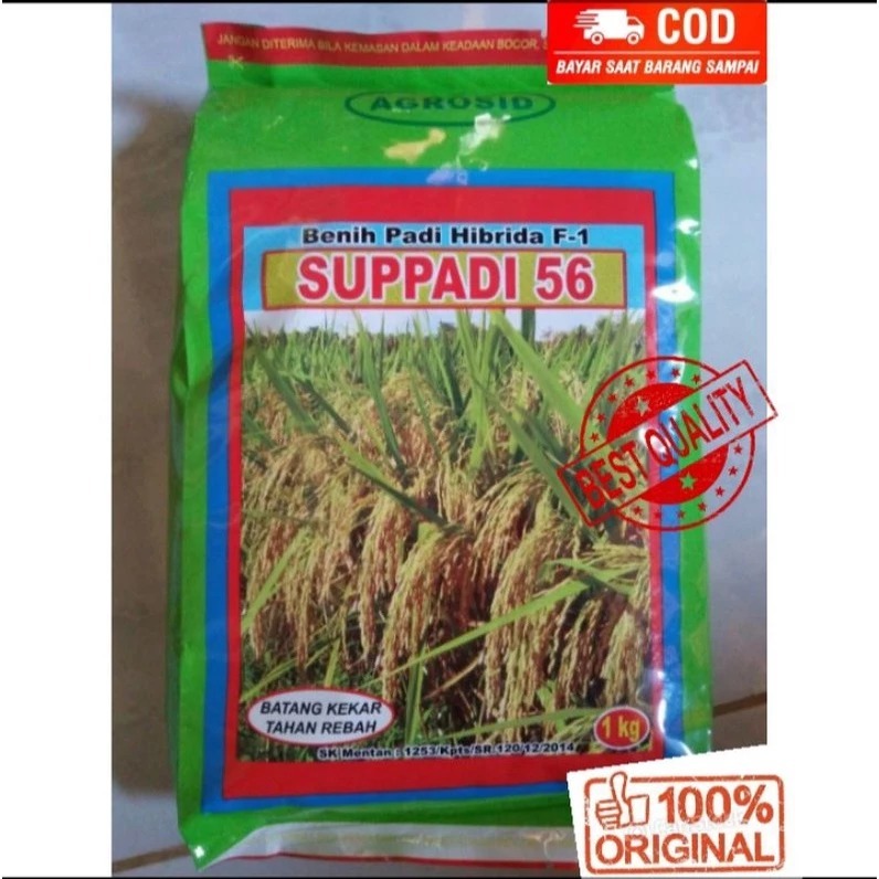 Benih Padi Supadi SUPPADI 56 Hibrida F1 Agrosid 100% ORIGINAL