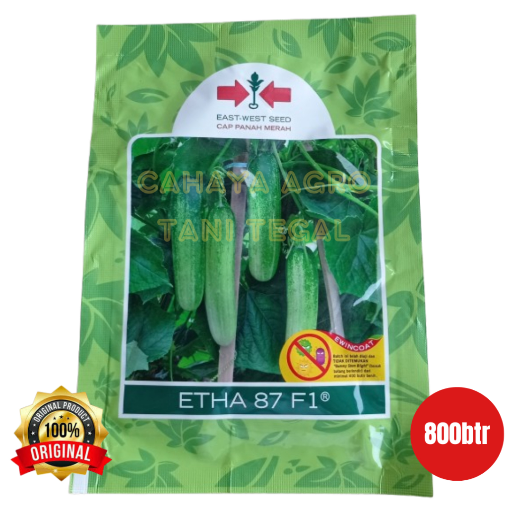 Benih Bibit Timun Lalap Etha 87 F1 800 Butir/Biji Original Cap Panah Merah