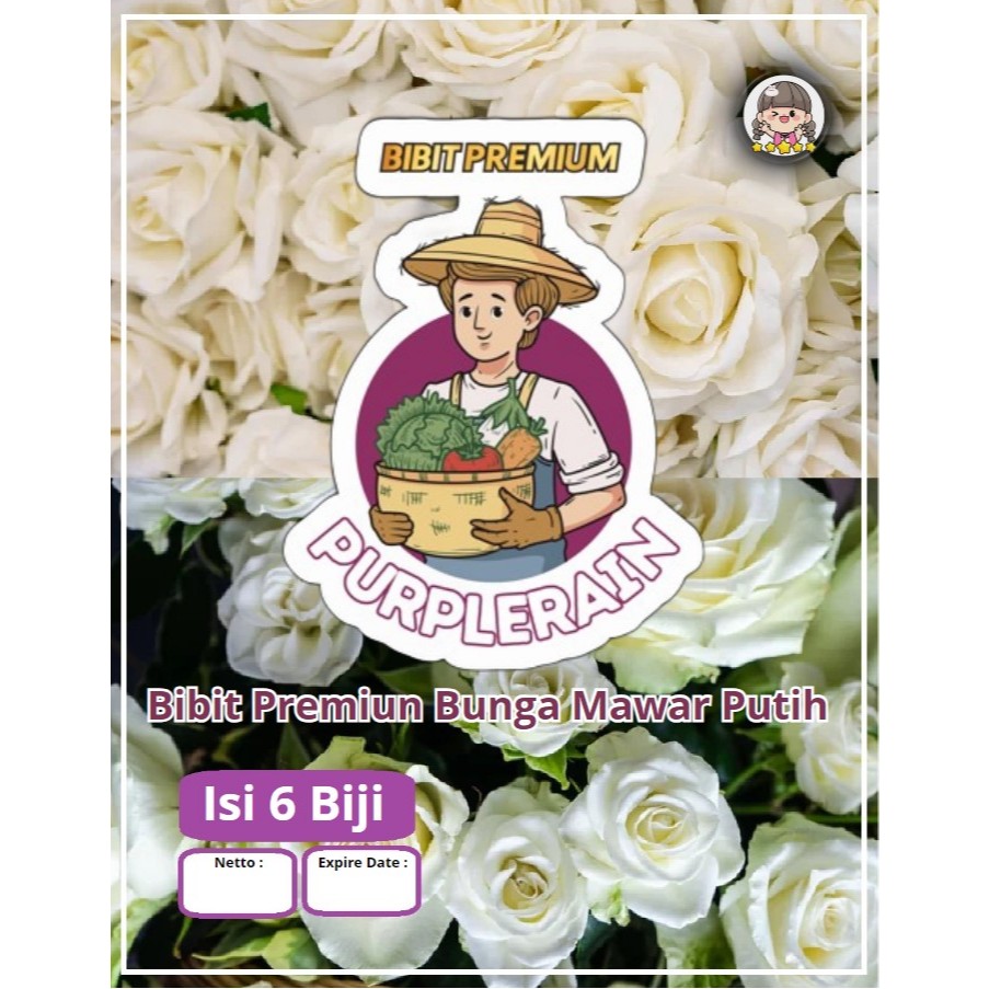 Bibit Premium Bunga Mawar Putih | Benih Bunga Mawar Putih