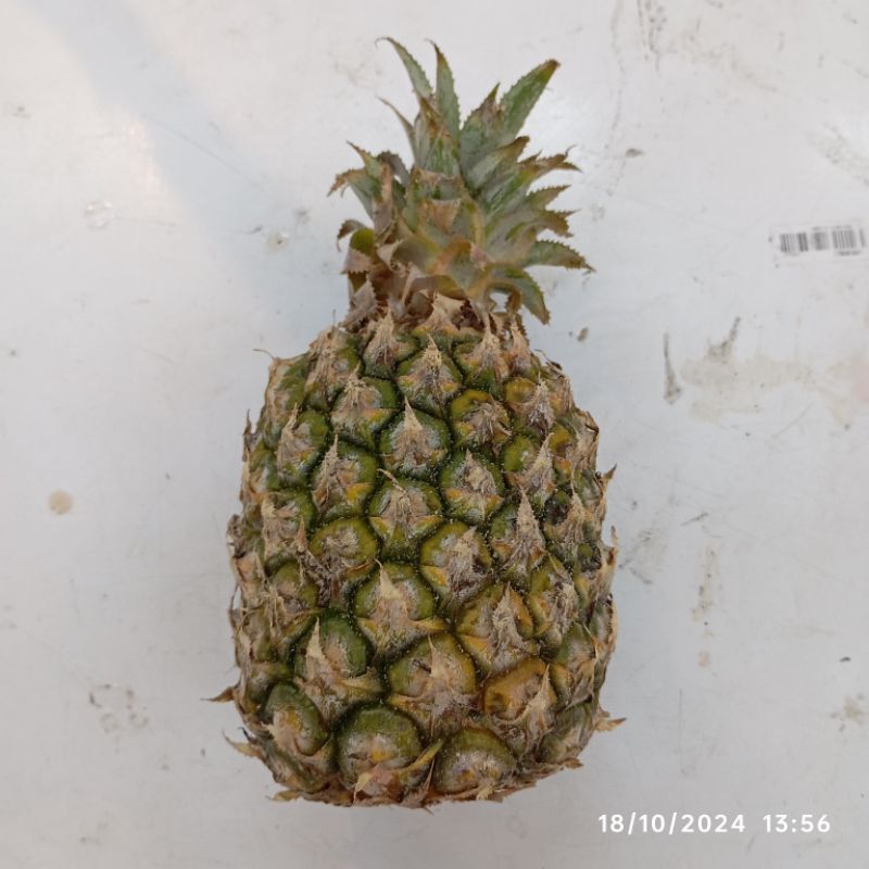 

NANAS BLITAR SEGAR FRESH