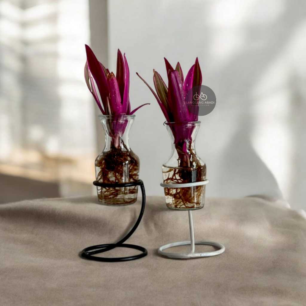 Vas Dan Standing Besi | Vas Kaca Carafe | Vas Estetik | Vas Bunga Kaca Bulat | Vas Kaca Bening