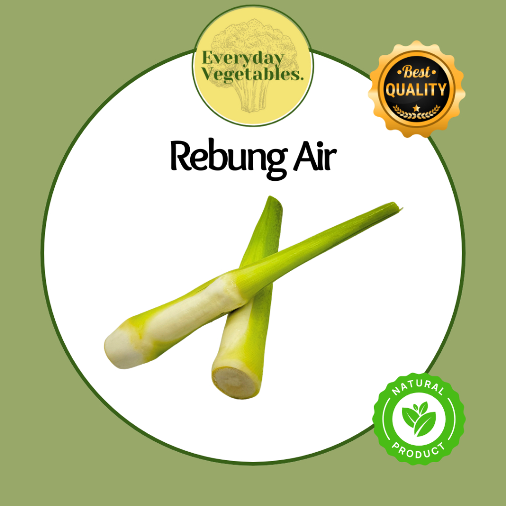 

Rebung Air / Water Bamboo Shoot per Pack @400gr