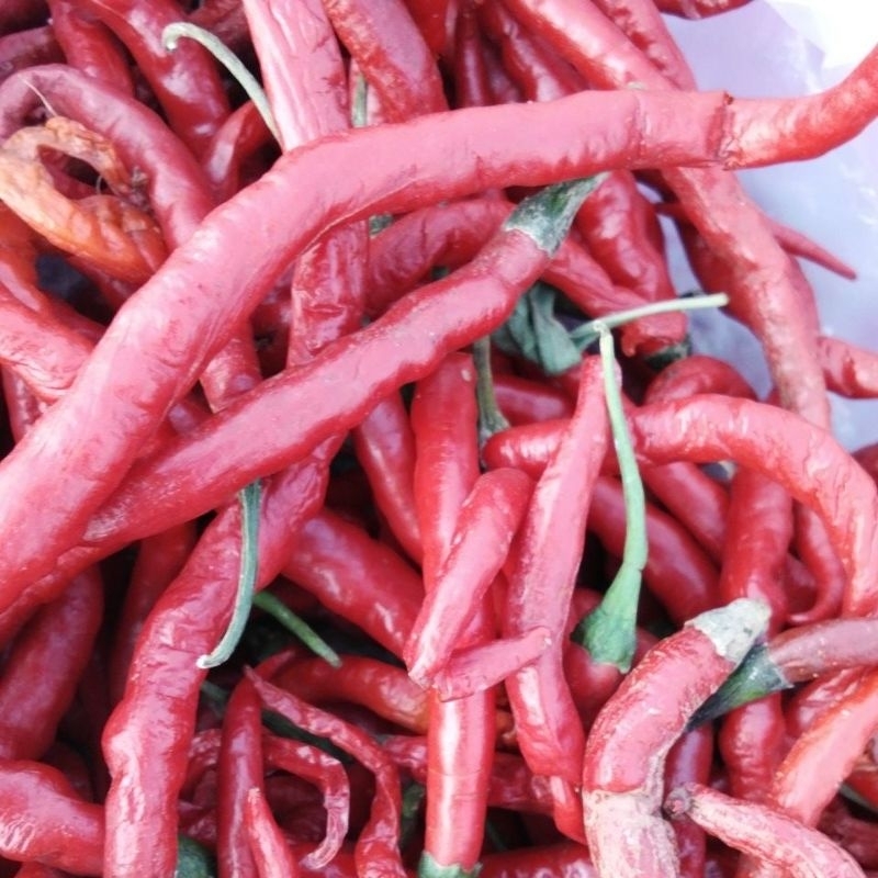 

cabe merah keriting 1kg