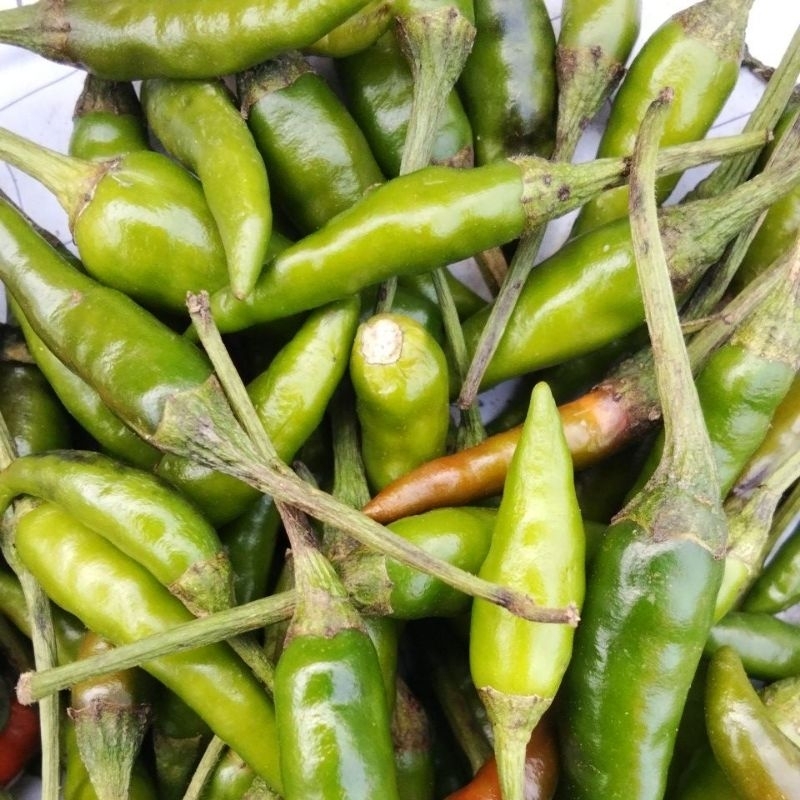 

cabe rawit hijau ½kg.