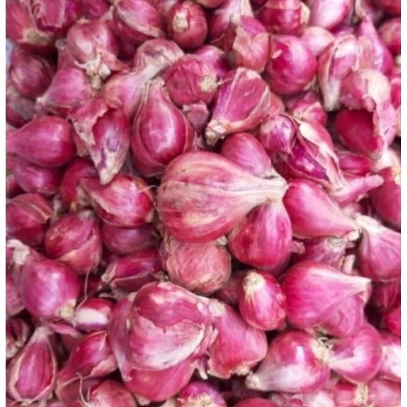 

bawang merah brebes 1kg