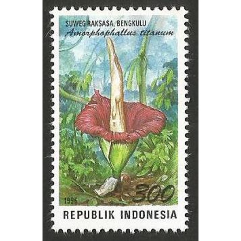 

A 10590 SATU BUAH PRANGKO INDONESIA TEMA PUSPA SUWEG RAKSASA DARI PROPINSI BENGKULU DENGAN KONDISI MNH MINT NEVER HINGED