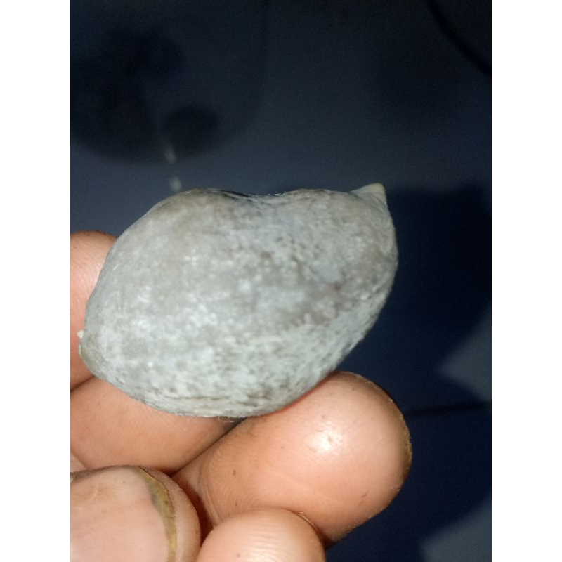 URGEN_JAYANTI_MILENIAL