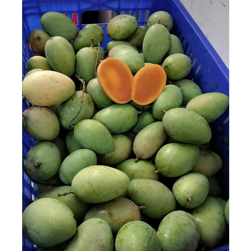 

mangga podang 1kg isi 3-4-5 bisa request