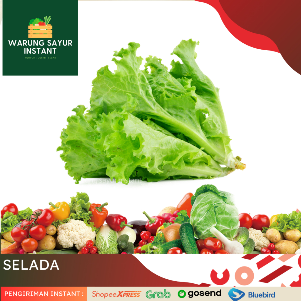 

Selada Bokor 500gr Sayur Segar Promo Bandung |Warung sayur instant