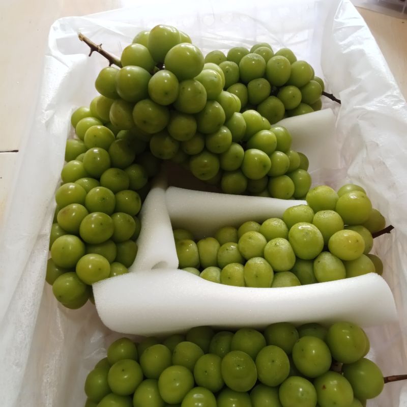 

anggur-muscat