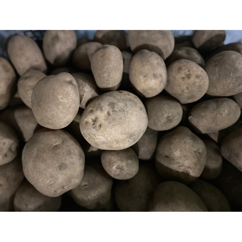 

KENTANG DIENG 500 GRAM