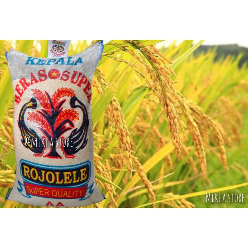 

Beras rojolele 20 kg - free ongkir