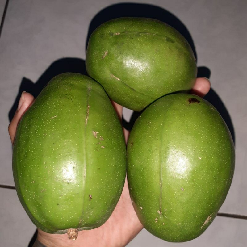 

kedondong bangkok 1kg fresh 5-6buah