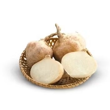 

Bengkuang / Bengkoang / Besusu