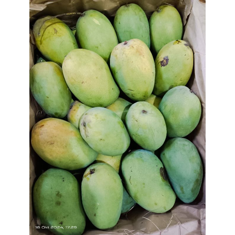 

Mangga Jepara