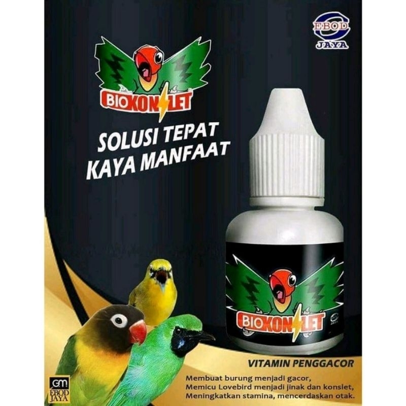 bio konslet penggacor burung Lovebird dan kicau