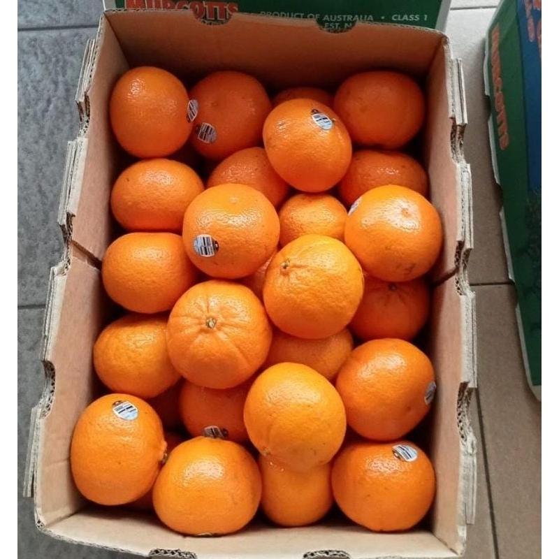 

Indukbuah Buah Jeruk Murcot Manis Seger 1 Dus ±9Kg