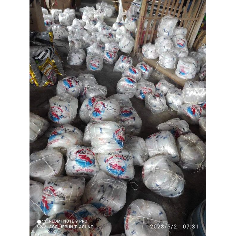 senar kakap 100-1000