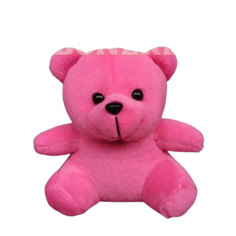 Boneka Bear Pink Panta Boneka Beruang Mini Boneka Teddy Bear Boneka Bucket Wisuda