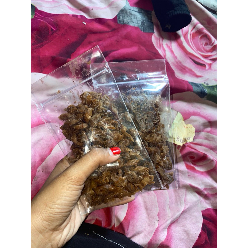 

keripik lumpia coklat