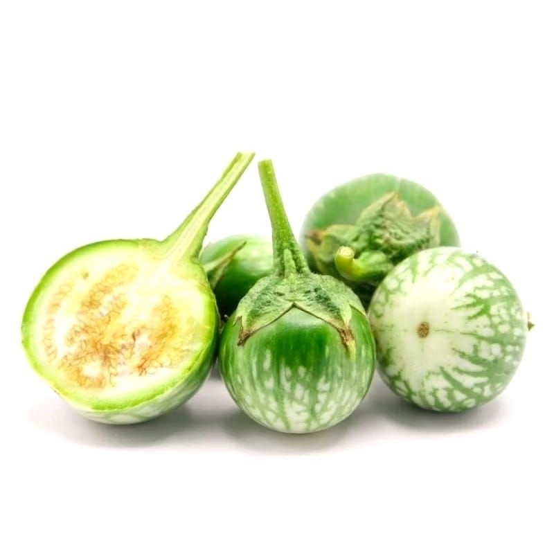 

Terong Muda Lalap Bulat 250gram