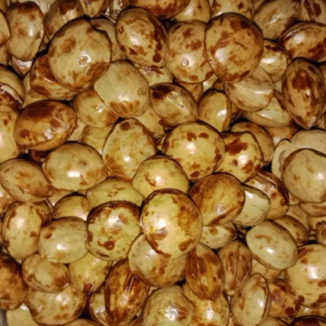 

JENGKOL TUA PULEN CAMPUR 500 Gram