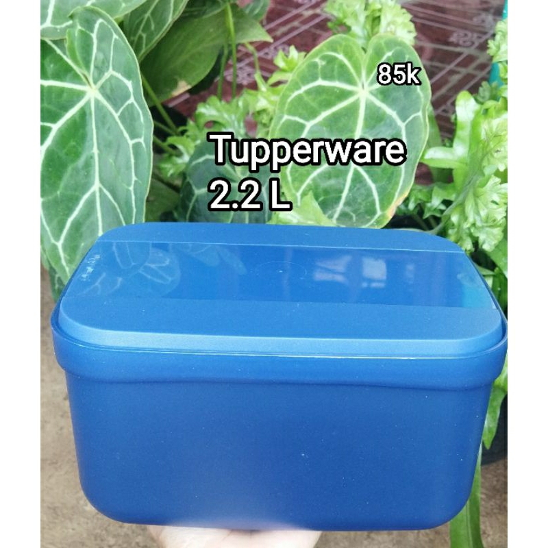 wadah kotak navy Tupperware 2.2 L