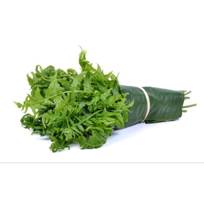 

Daun pakis segar 500 gram